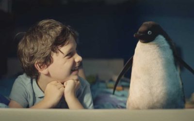 Story des Monats: Der Junge und sein Pinguin