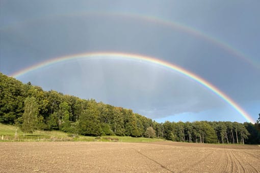 Adventszauber «Pferde und Stories» - In der Stille der Natur mit Fondue-Plausch