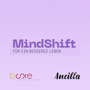 Mindshift Workshop Kommunikation, Konflikte, Glaubensätze, Resilienz