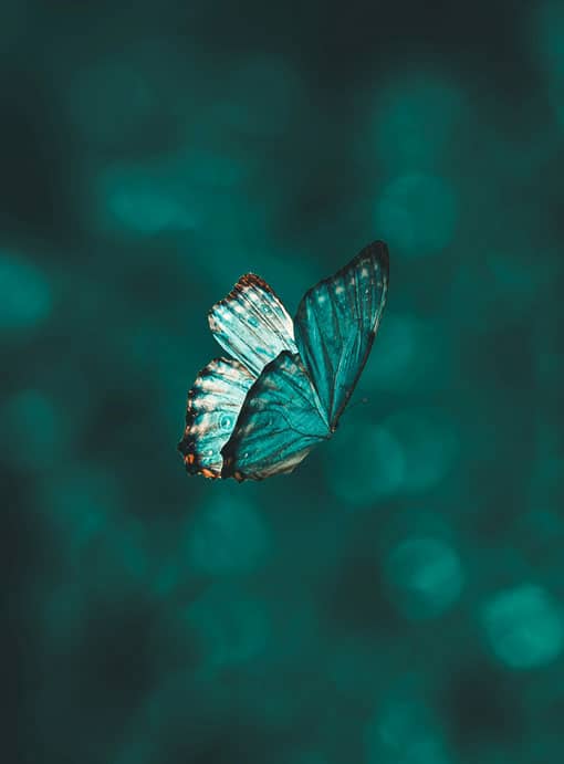 Die Heldenreise wirkt nicht nur als Narrationsmodell für Geschichten und Präsentationen – sie ist ein Transformationswerkzeug